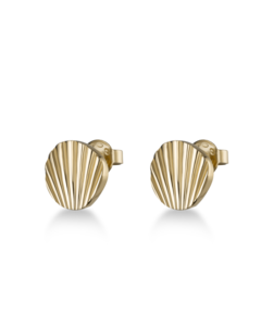 Shell stud earrings gold