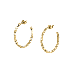 CREOLE EARRINGS SS+IP GOLD